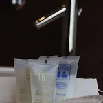 Asturias 4* 기욘